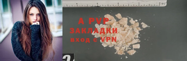 стаф Аркадак