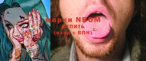 стаф Аркадак