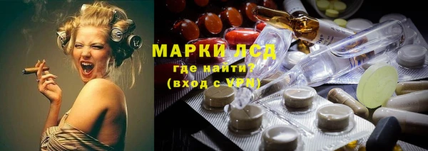 стаф Аркадак