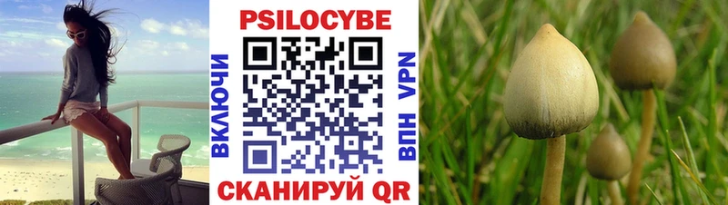Псилоцибиновые грибы прущие грибы Волгоград