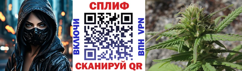 Конопля индика хочу Волгоград